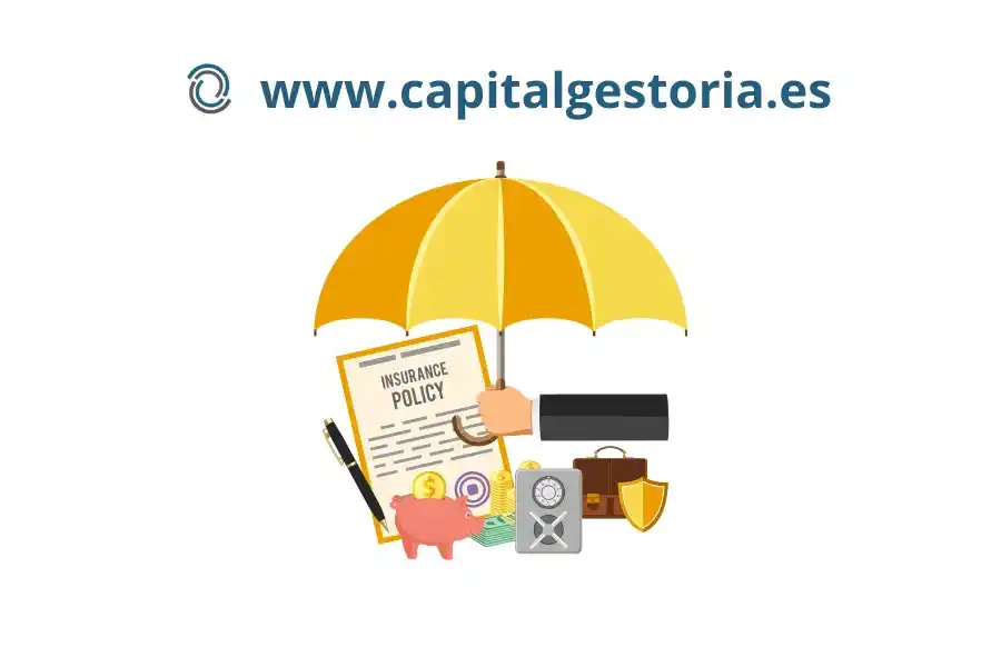 Guía completa: Seguros que ofrecen beneficios fiscales en la Declaración de la Renta 2024