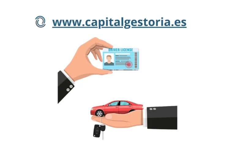Canje Carnet de Conducir